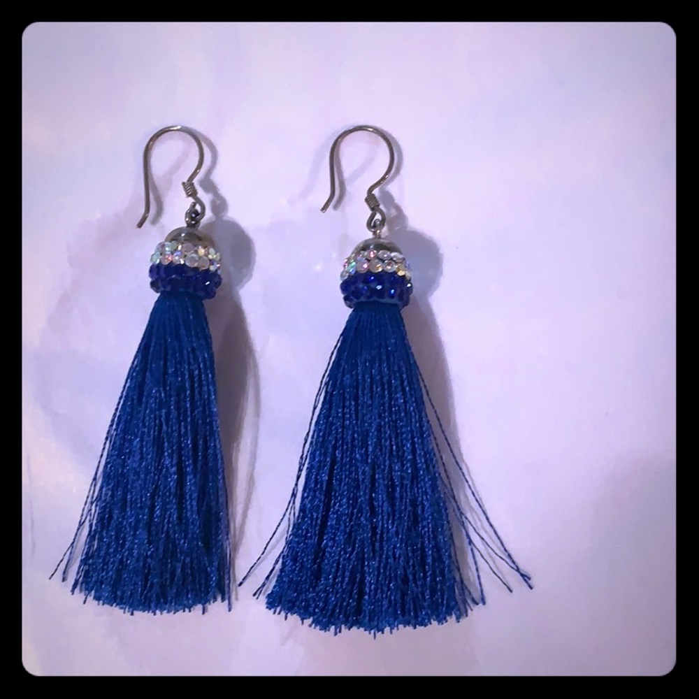 NWOT Tassel Earring